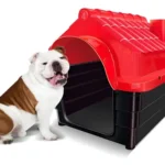 CASA CANINA VERMELHA STANE HOUSE N04