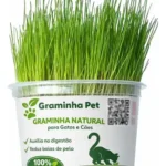 GRAMINHA NATURAL PARA TODOS OS PETS