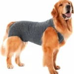 Roupa cirúrgica para cães n° 02
